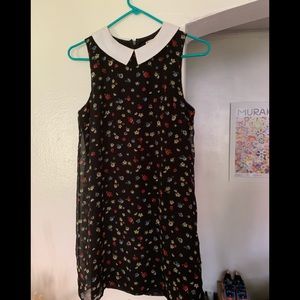 White collar dress